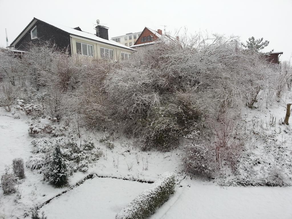 Ferienwohnung Am Paradies Bad Lauterberg Esterno foto